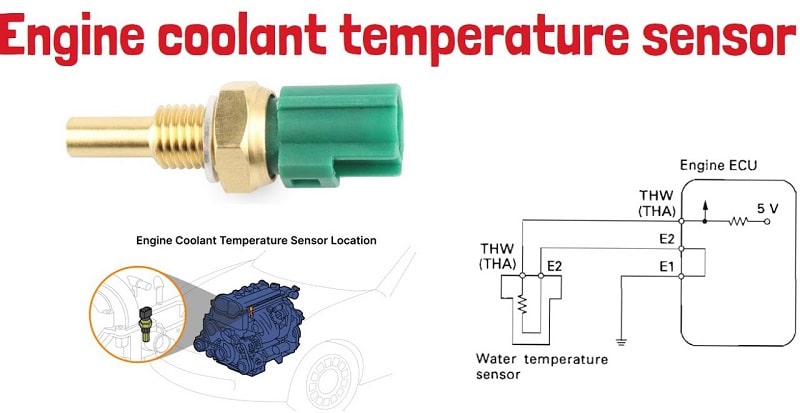 cấu tạo và vị trí của cảm biến