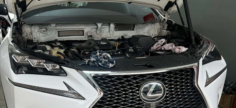 kiểm tra lỗi lexus miễn phí