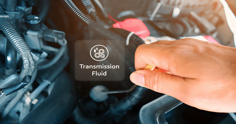 bao lâu thì bảo dưỡng hộp số ô tô