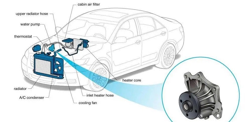 vị trí bơm nước trên xe ô tô